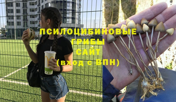 трава Абинск