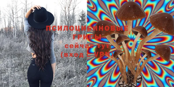 винт Абаза