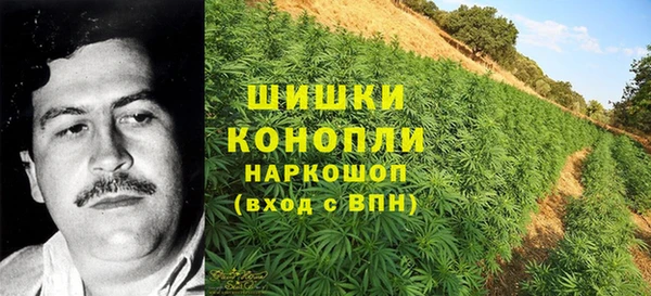 винт Абаза