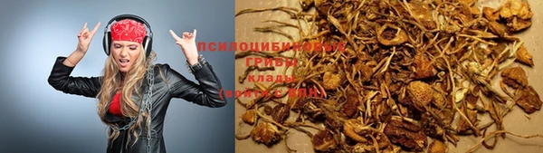 трава Абинск