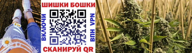 купить наркотики цена  гидра зеркало  Конопля Amnesia  Суздаль 